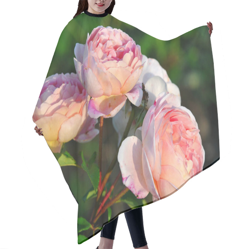 Personality  Pink Roses Hair Cutting Cape