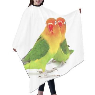 Personality  Pair Of Lovebirds Agapornis-fischeri Hair Cutting Cape