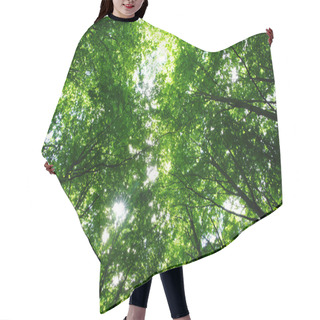 Personality  Trees Hair Cutting Cape