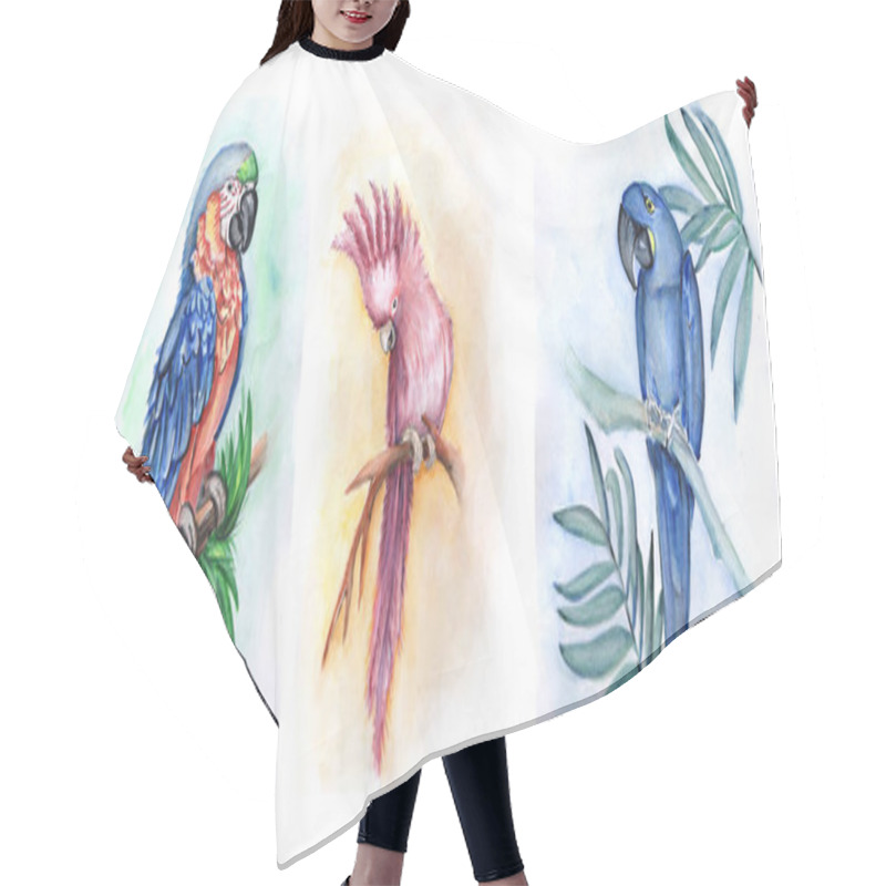 Personality  Set With Watercolor Birds On White Background. Watercolor Illustration Hair Cutting Cape