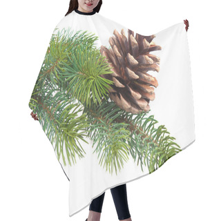 Personality  Fir Branch With Pine Cone Isolated On White Hair Cutting Cape