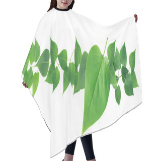 Personality  Green Leaves Border Hair Cutting Cape