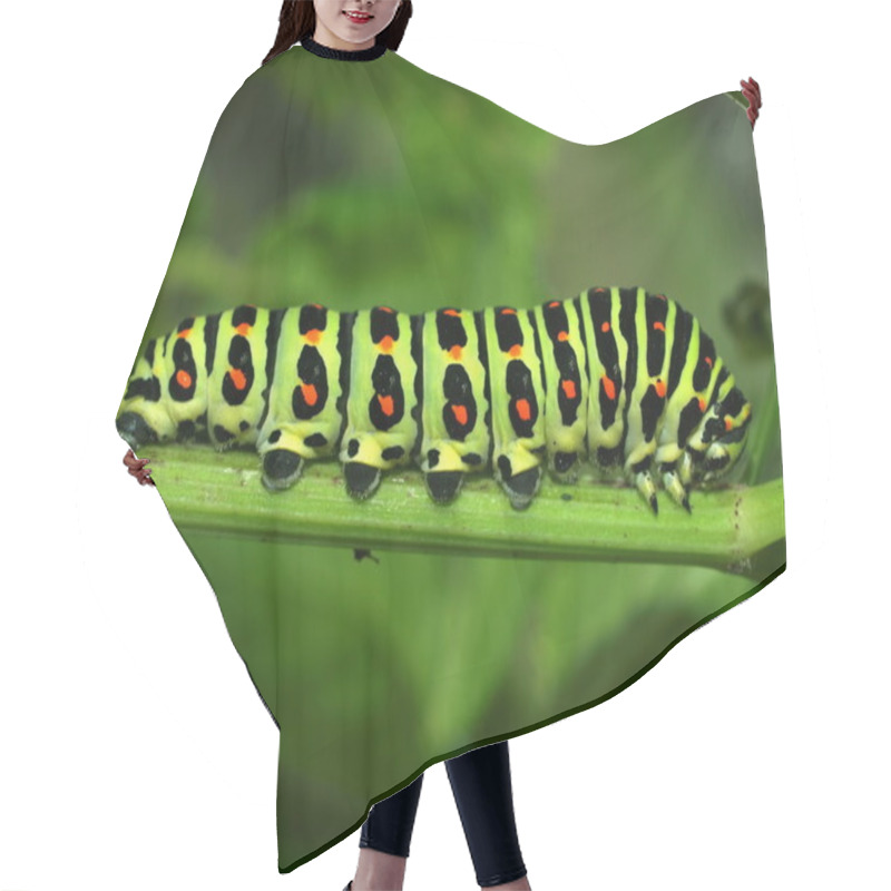 Personality  Caterpillar Of Day Time Butterfly Hair Cutting Cape