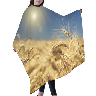Personality  Gold Wheat And Blue Sky With Sun Hair Cutting Cape