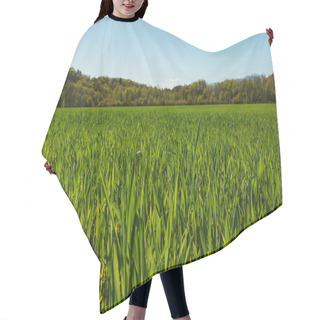 Personality  Field Of Green Grass And Light Blue Sky Hair Cutting Cape