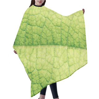 Personality  Macro Texture Of Green Floral Leaf  Hair Cutting Cape