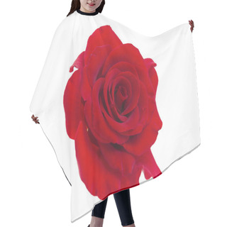 Personality  Red Rose Hair Cutting Cape