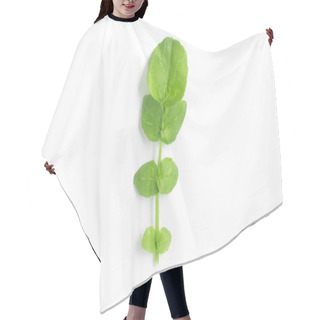 Personality  Raw Watercress Leaves Hair Cutting Cape