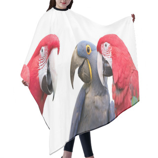 Personality  Parrot Meeting Hair Cutting Cape