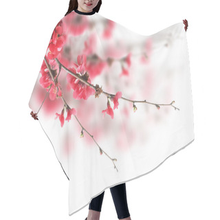 Personality  Cherry Blossoms Hair Cutting Cape
