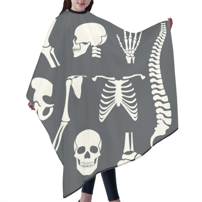 Personality  Human skeleton. Vector white illustration set hair cutting cape