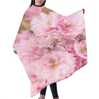 Personality  Macro Photo Of Pink Flowers Of Blossoming Cherry Tree Hair Cutting Cape