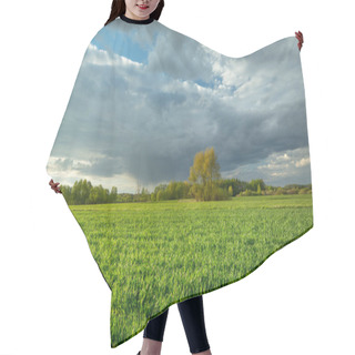 Personality  Green Field Of Young Grain And Gray Clouds On The Sky, Spring Rural Landscape Hair Cutting Cape
