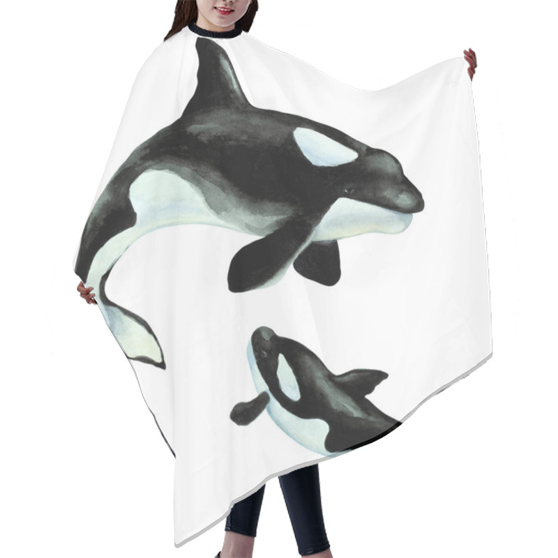Personality  Big Orca Killer Whale With Cub On A White Background, Hand Drawn Watercolor Illustration. Hair Cutting Cape