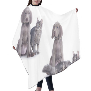 Personality  Cat And Dog Hair Cutting Cape