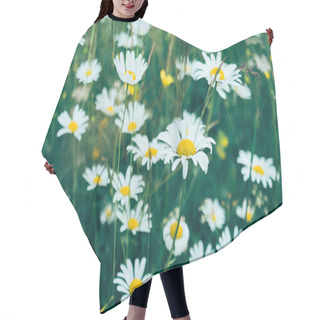 Personality  Wild Daisies In Meadow Hair Cutting Cape