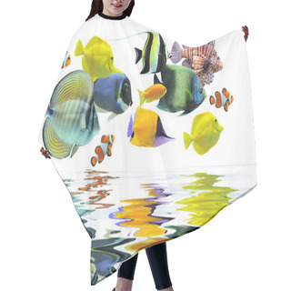 Personality  Group Of Fishes Hair Cutting Cape