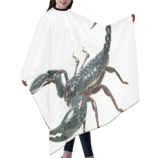 Personality  Large Black Scorpion Hair Cutting Cape