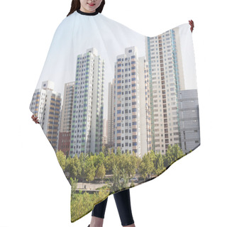 Personality  Apartment Buildings Hair Cutting Cape