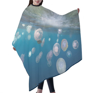 Personality  Group Of Light Blue Jellyfish Hair Cutting Cape