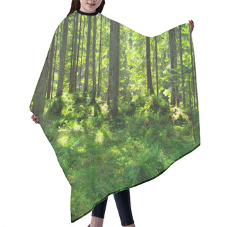 Personality  Morning  Green Forest Hair Cutting Cape