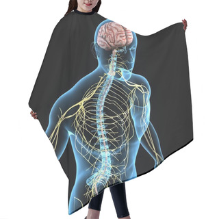 Personality  Nervous System Hair Cutting Cape