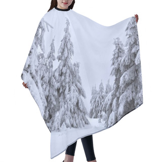 Personality  Spruces Covered With Snow On Mountain Foggy Slope Hair Cutting Cape