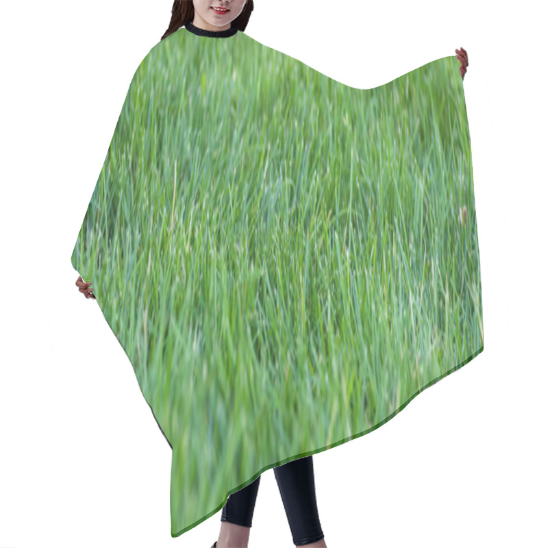 Personality  Panoramic shot of green grass on meadow  hair cutting cape
