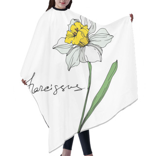 Personality  Vector Narcissus Flower Illustration Element On White Background With Lettering Hair Cutting Cape