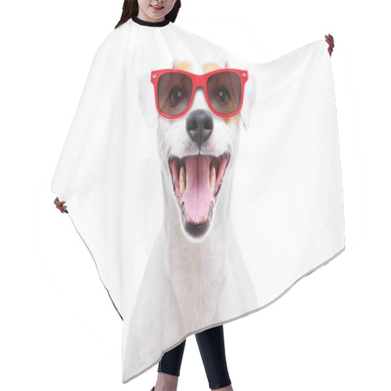 Personality  Portrait Of A Funny Dog Jack Russell Terrier In Sunglasses Isolated On White Background Hair Cutting Cape