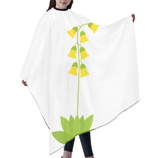Personality  Flower Cowslip Primrose Illustration Isolated On White Background. Primula Veris Flower Herb Vector. Hair Cutting Cape
