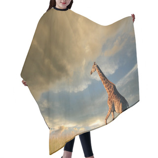 Personality  Giraffe On African Plains Hair Cutting Cape