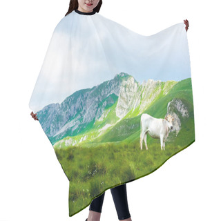 Personality  White Cow Standing On Green Valley In Durmitor Massif, Montenegro Hair Cutting Cape