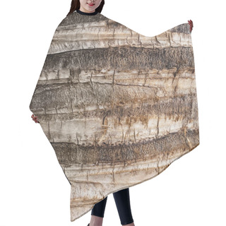 Personality  Bark Of Coconut Palm Hair Cutting Cape