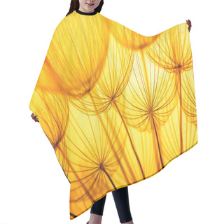 Personality  Dandelion Seed Flower Hair Cutting Cape