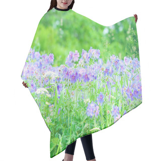 Personality  Early Summer Flowering Geranium Hair Cutting Cape