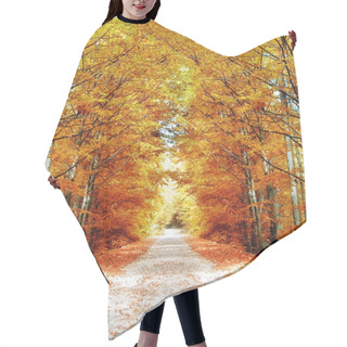 Personality  Pathway In The Forest Hair Cutting Cape