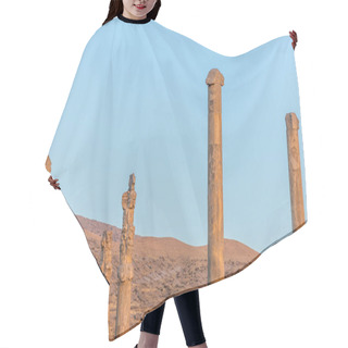 Personality  Persepolis In Iran Hair Cutting Cape