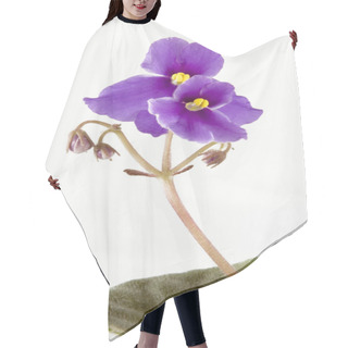 Personality  Violet Hair Cutting Cape