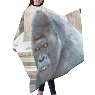 Personality  Mad Gorilla Hair Cutting Cape