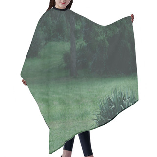 Personality  Green Grass Meadow In Botanical Graden Hair Cutting Cape