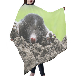 Personality  Mole Hair Cutting Cape