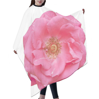Personality  Pink Rose Blossom Spring Flower Hair Cutting Cape