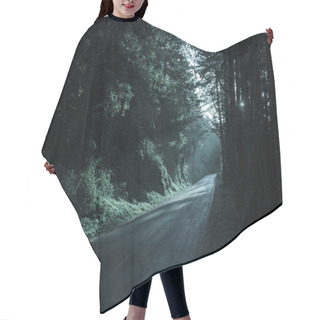 Personality  Dark Forest With Empty Road In Receding Light Hair Cutting Cape