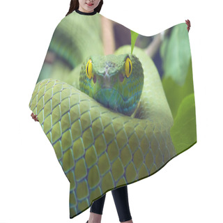 Personality  Green Snake Hair Cutting Cape