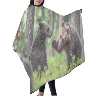 Personality  Cubs Of Brown Bears Hair Cutting Cape