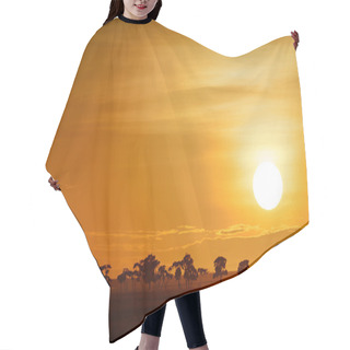 Personality  Landscape With Sunrise On The Savanna In Kenya Hair Cutting Cape