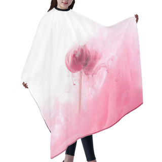 Personality  Close Up View Of Pink Flower And Paint Splash Isolated On White Hair Cutting Cape