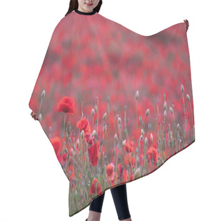 Personality  View On The Field Of Beautiful Red Bloming Poppies In Germany. Hair Cutting Cape