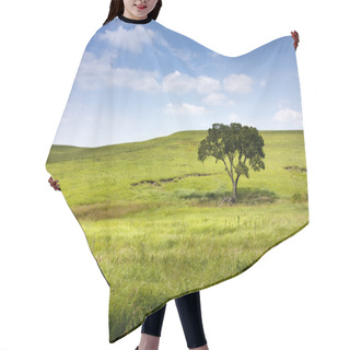 Personality  Serene Nature Landscape Of The Midwest Kansas Tallgrass Prairie Preserve Hair Cutting Cape